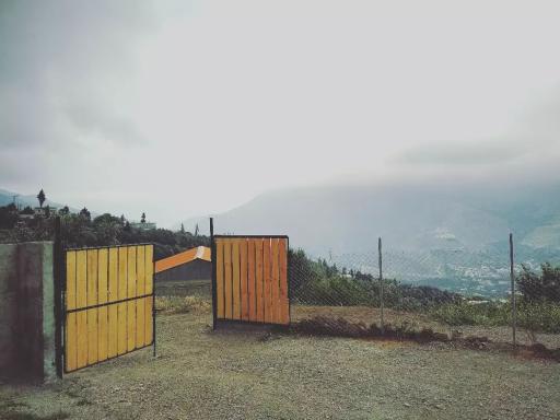 عکس اقامتگاه بومگردی تک درخت