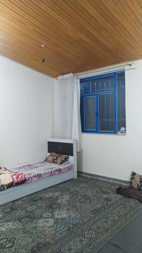 عکس اقامتگاه بومگردی تک درخت