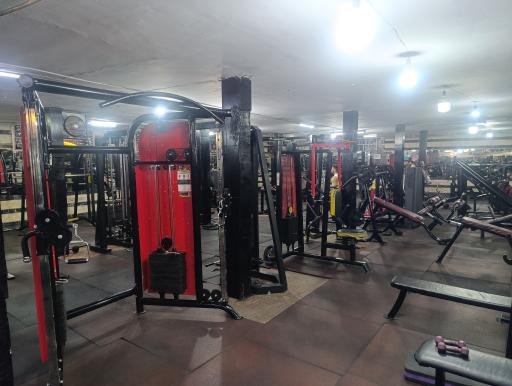 عکس باشگاه پرورش اندام پیل پیکر