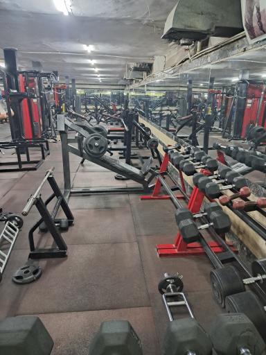 عکس باشگاه پرورش اندام پیل پیکر