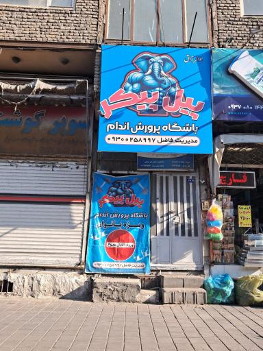 عکس باشگاه پرورش اندام پیل پیکر