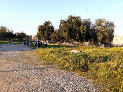 عکس دهانه نهر داریون (دارا)