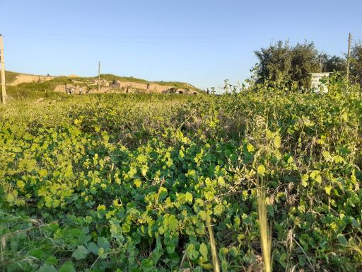 عکس دهانه نهر داریون (دارا)