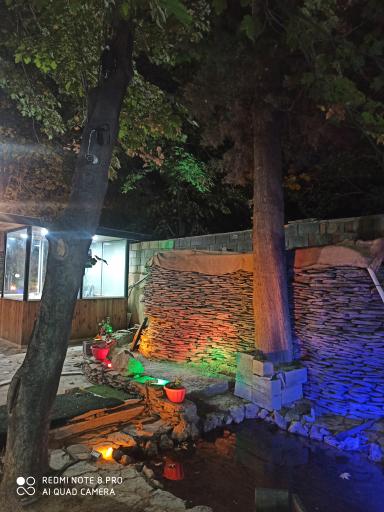 عکس باغ رستوران شهریار 