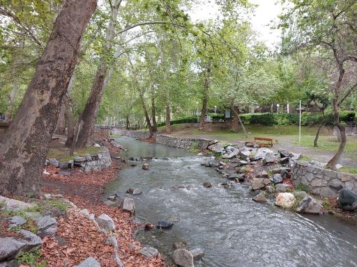 عکس بوستان کوشک باغ وکیل آباد