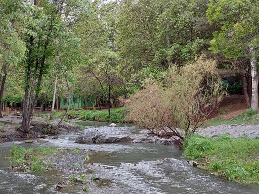 عکس بوستان کوشک باغ وکیل آباد