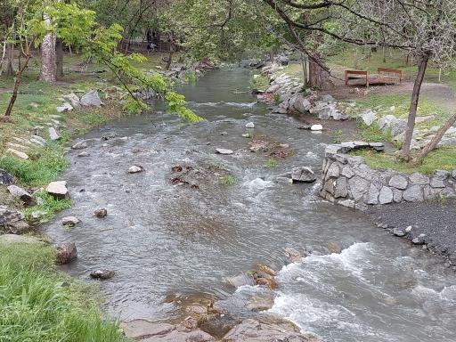 عکس بوستان کوشک باغ وکیل آباد