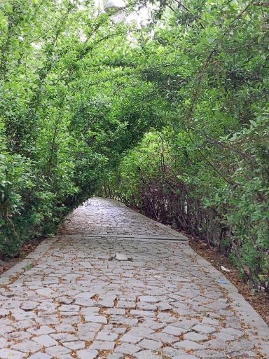 عکس بوستان کوشک باغ وکیل آباد