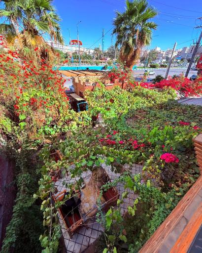 عکس رستوران قصر ضیافت