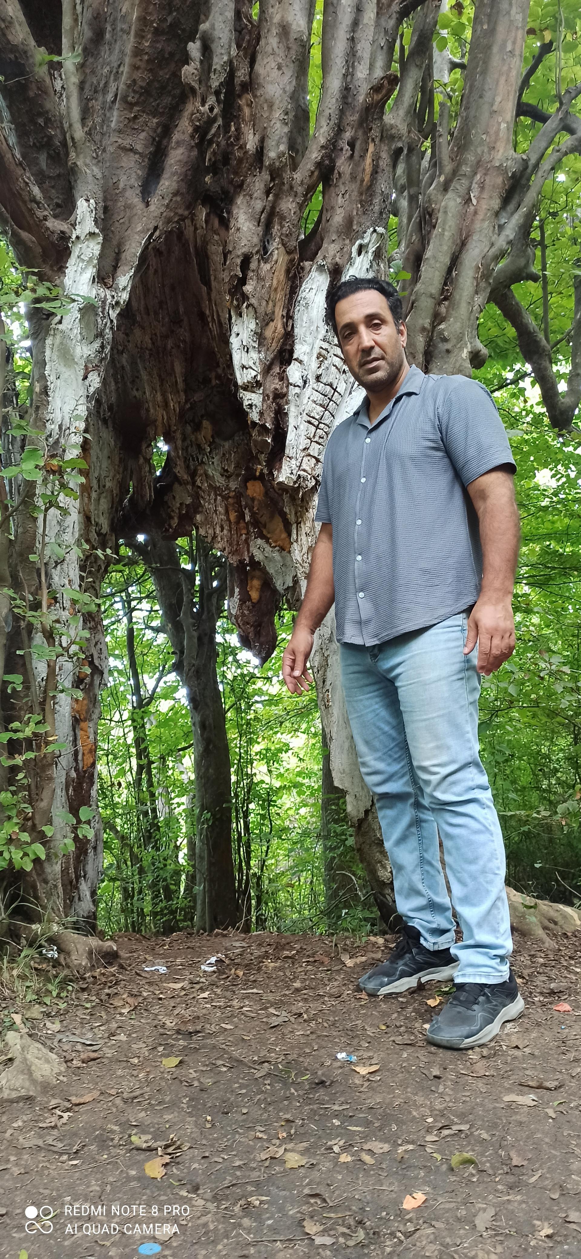 عکس تفرجگاه ساحلی نمک آبرود