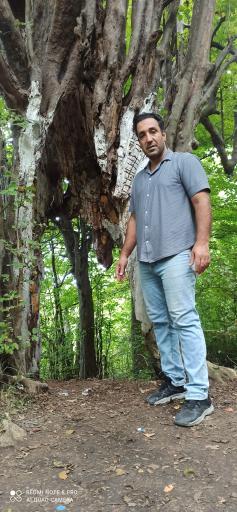 عکس تفرجگاه ساحلی نمک آبرود