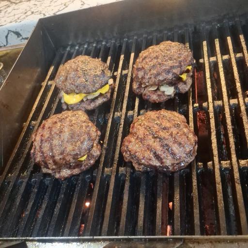 عکس مجی برگر