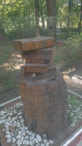 عکس بوستان کوشک باغ وکیل آباد