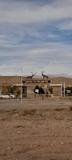 عکس پارک حیات وحش چشمه خسرو