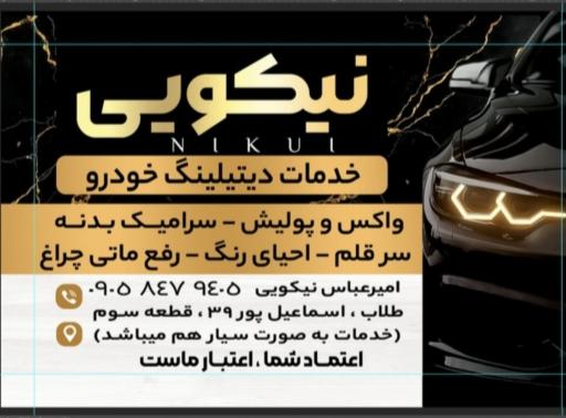 عکس دیتیلینگ نیکویی