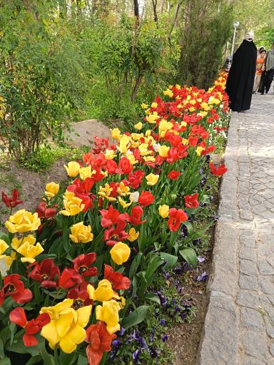 عکس بوستان کوشک باغ وکیل آباد