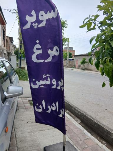 عکس سوپر مرغ برداران