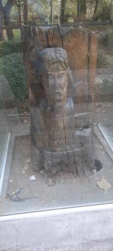 عکس بوستان کوشک باغ وکیل آباد