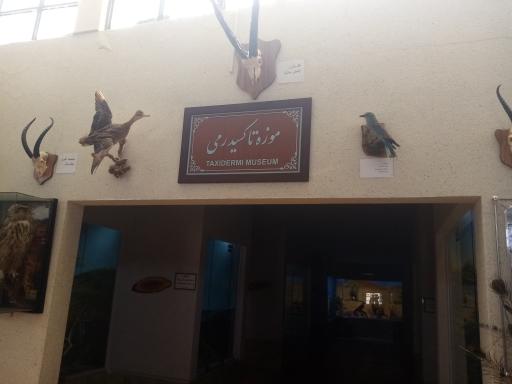 عکس پارک حیات وحش چشمه خسرو