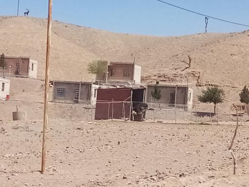 عکس پارک حیات وحش چشمه خسرو