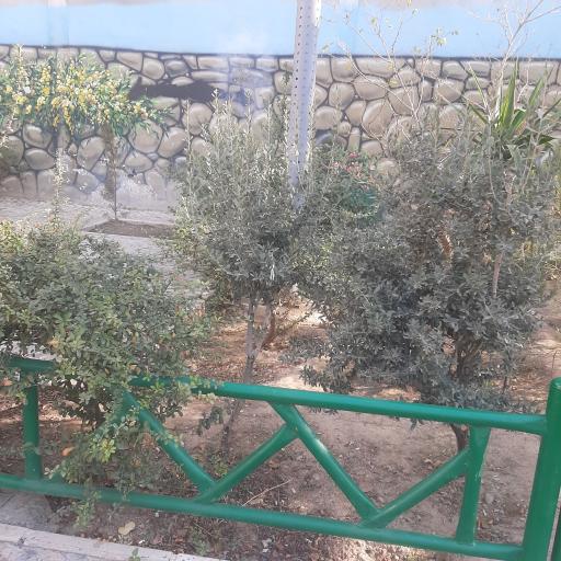 عکس بوستان گیلانه