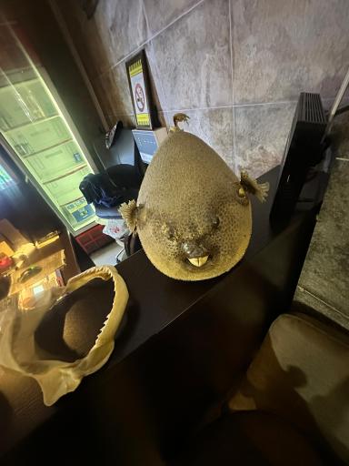 عکس رستوران آقای ماهی