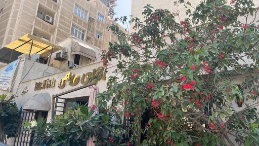 عکس رستوران آقای ماهی