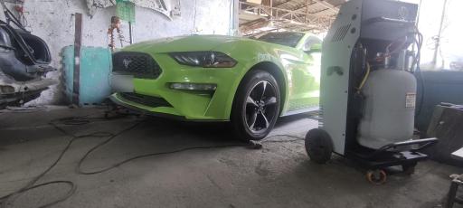 عکس صافکاری مهدی چنوری 