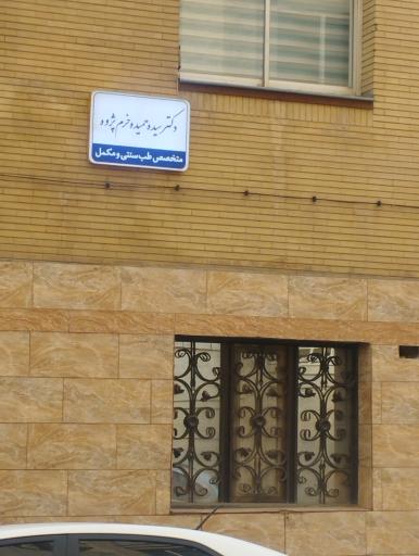 عکس دکتر سیده حمیده خرم پژوه