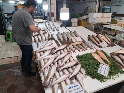 عکس بازار روز نوشهر