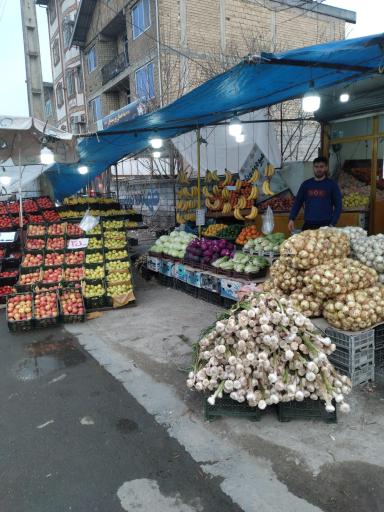 عکس میوه تره بار ملکی