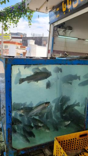 عکس بازار روز نوشهر