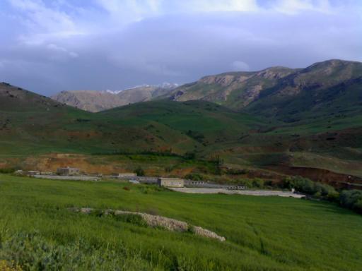عکس چمنار