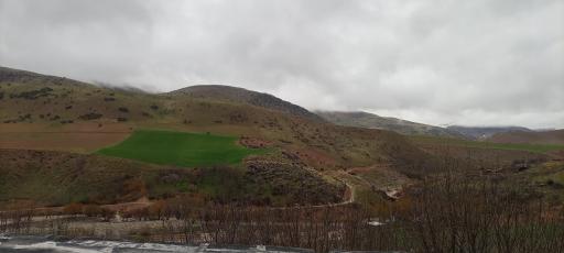عکس چمنار