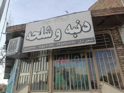 عکس دنبه و شلحه حجت