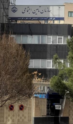 سازمان تامین اجتماعی شعبه 6