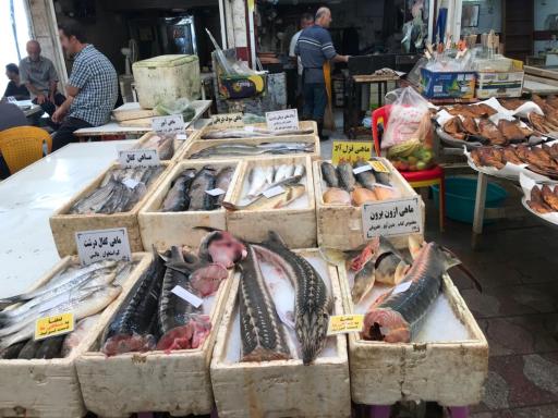 عکس بازار روز نوشهر