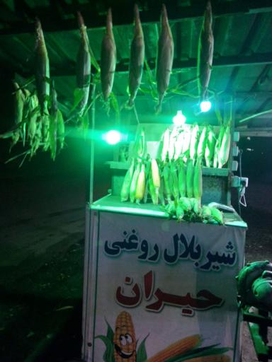 عکس پذیرایی ساسانیان
