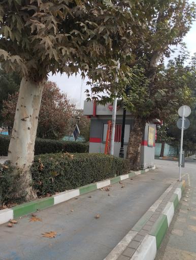 عکس دکه نان رضوی