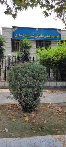 عکس پزشکی قانونی ساری