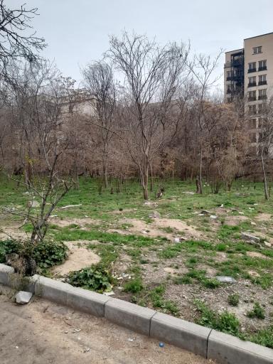 عکس باغ زرین