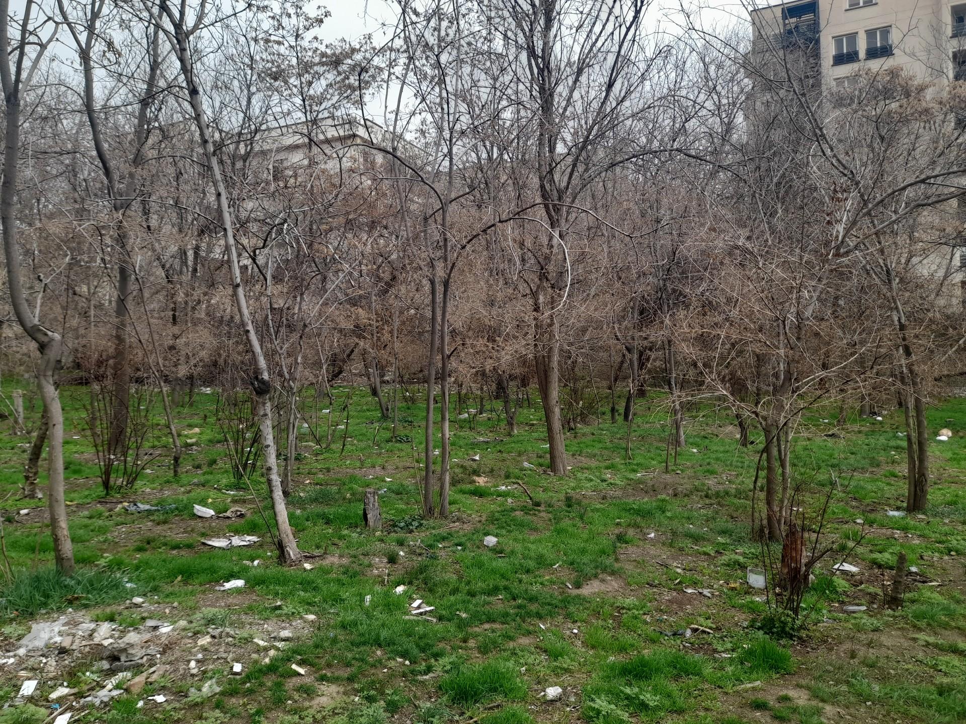 عکس باغ زرین