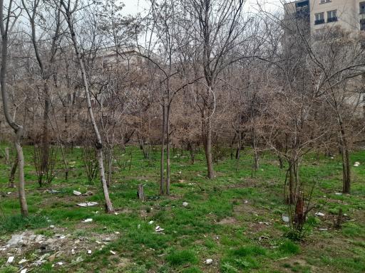 عکس باغ زرین