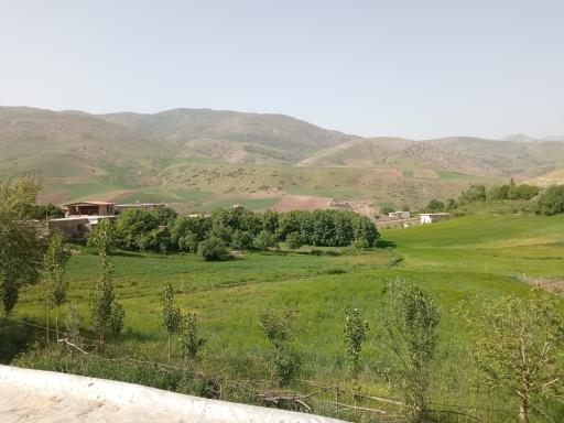 عکس چمنار