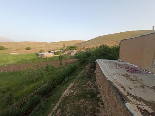 عکس چمنار