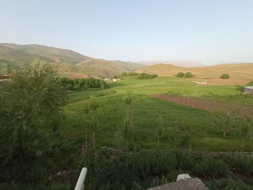 عکس چمنار