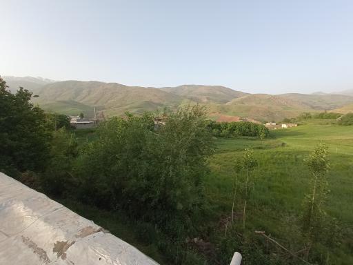 عکس چمنار