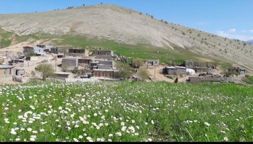 عکس سیاه دره 3 کوسه