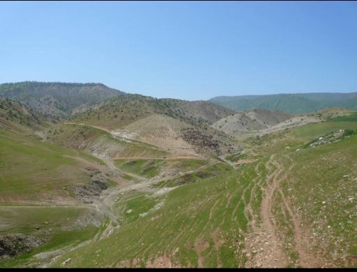 عکس سیاه دره 3 کوسه