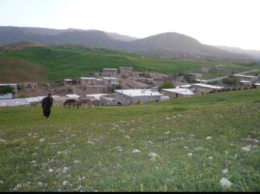 عکس سیاه دره 3 کوسه